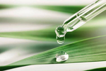 Ingredient Spotlight-The Rise of Veganism in Beauty