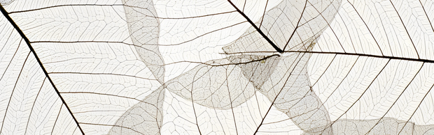 <h2>We believe that true beauty is sustainable.​</h2>